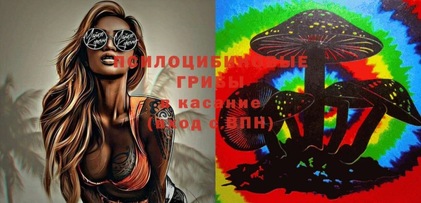 ECSTASY Баксан
