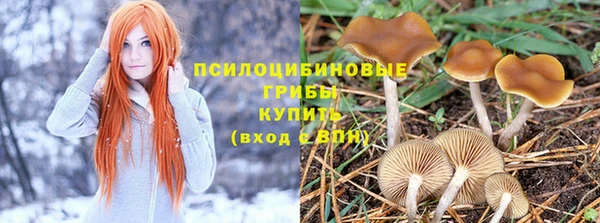 ECSTASY Баксан