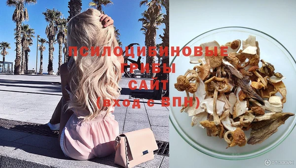 ECSTASY Баксан